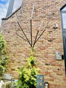 arbre support vegetal en facade