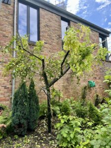 Arbre en acier support vegetal