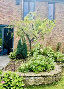 Sculpture d'arbre en acier support de plantes grimpantes