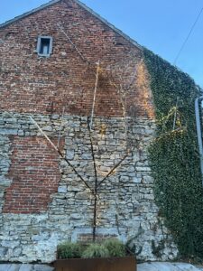 L'arbre et sa guirlande de Noel