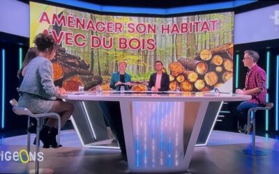 Reportage Bois et Habitat 2025